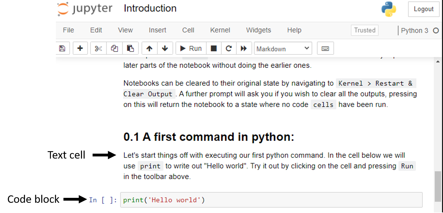 jupyter cells